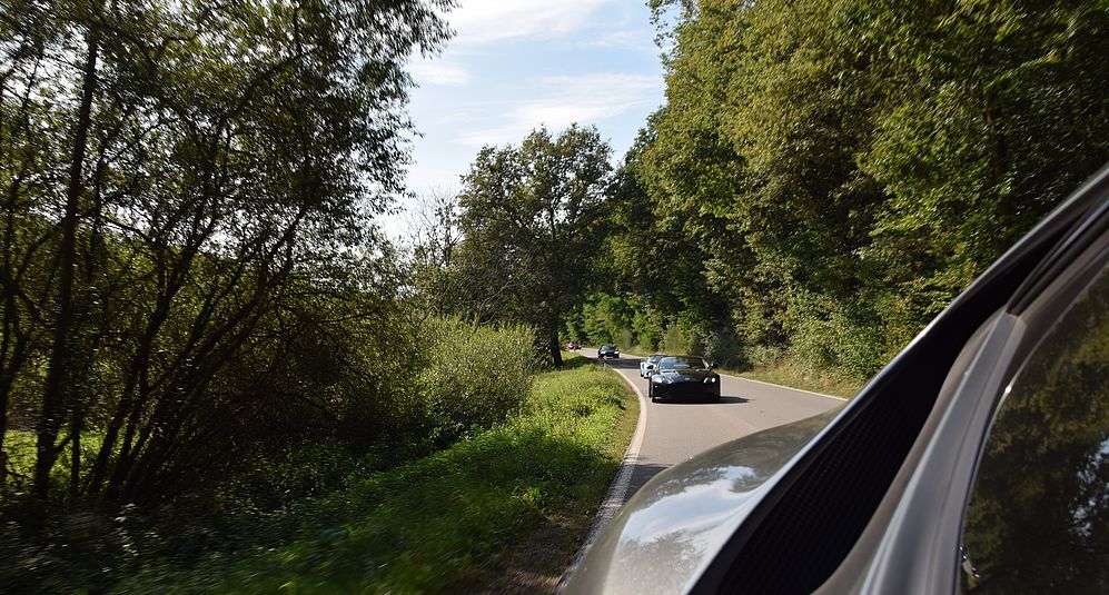 Perspektive aus einem fahrenden Fahrzeug auf eine Kolonne von Sportwagen auf einer gewundenen Waldstraße.